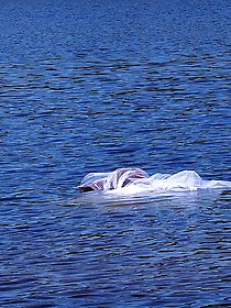 Beautiful women of a certain age show off their skills.