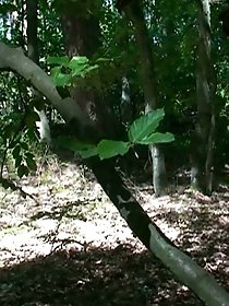 Voyeur - Masturbating In Forest